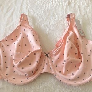 Lane Bryant Cacique Cotton Bra 44DDD